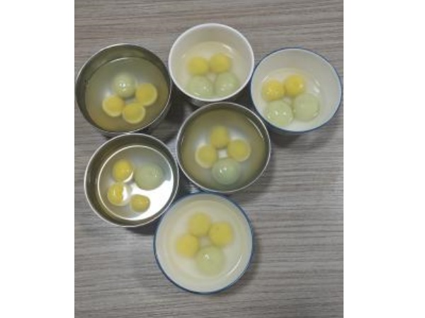 விளக்கு திருவிழாவைக் கொண்டாடுங்கள் மற்றும் ப moon ர்ணமியை ஒன்றாக அனுபவிக்கவும்